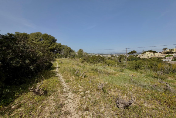 Revente - Parcelle / Terrain - Moraira - center