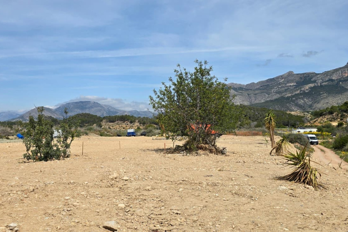Reventa - rustic plot - Altea
