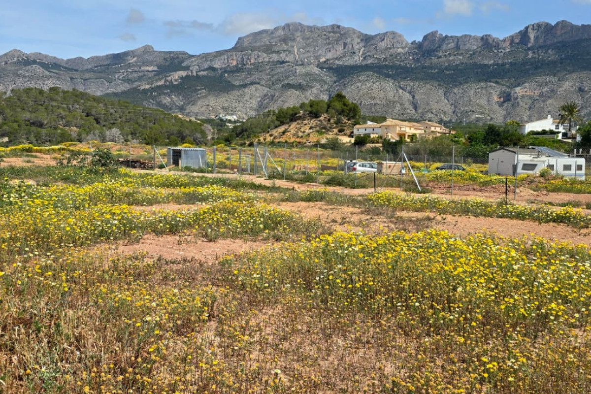 Reventa - rustic plot - Altea - Olla Altea