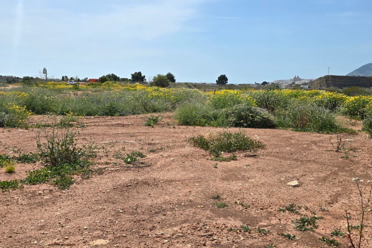 Reventa - rustic plot - Altea - Olla Altea