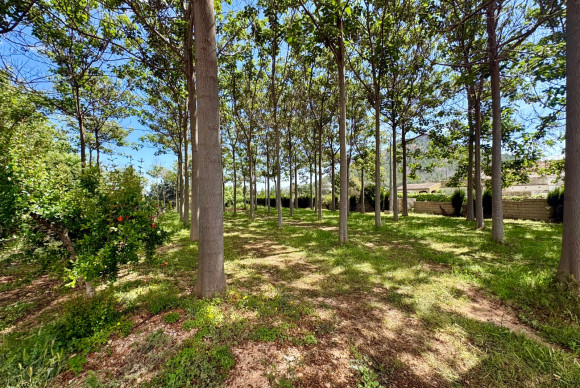Resale - Chalet Independiente - Pedreguer