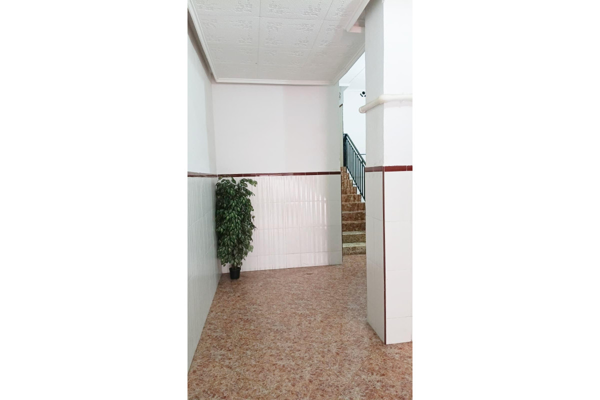 Herverkoop - Appartement  - Torrevieja - Torrevieja - Centre