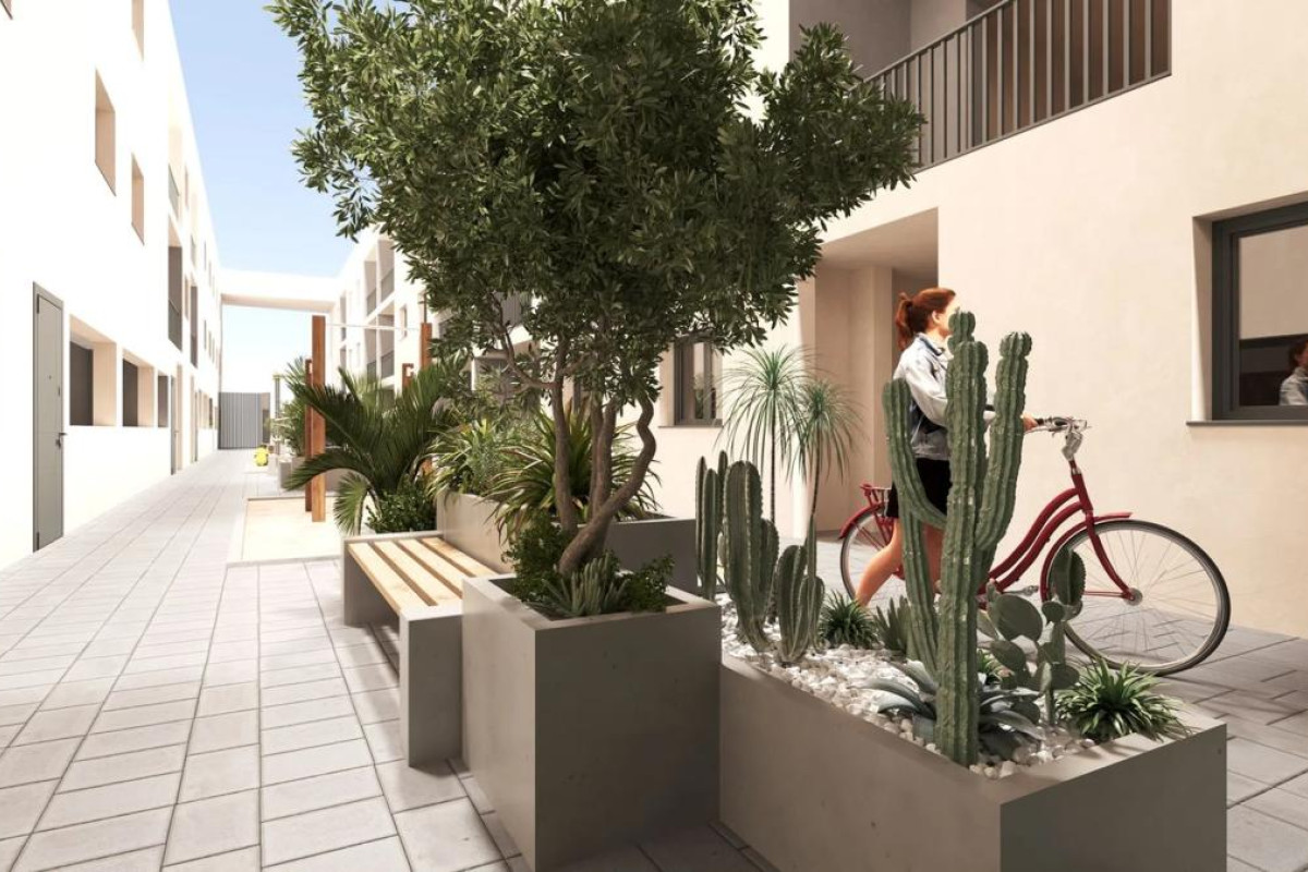 Obra nueva - Apartamento / piso - San Miguel de Salinas