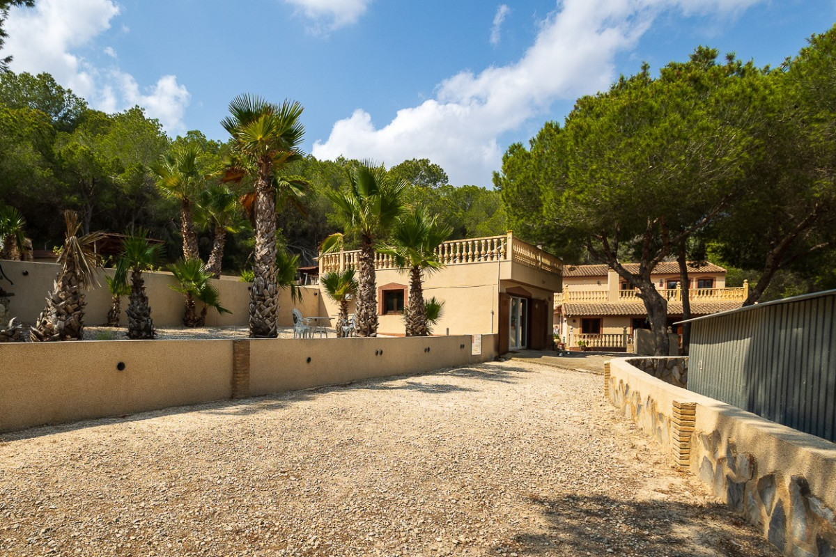 Reventa - Country Property/Finca - Torremendo