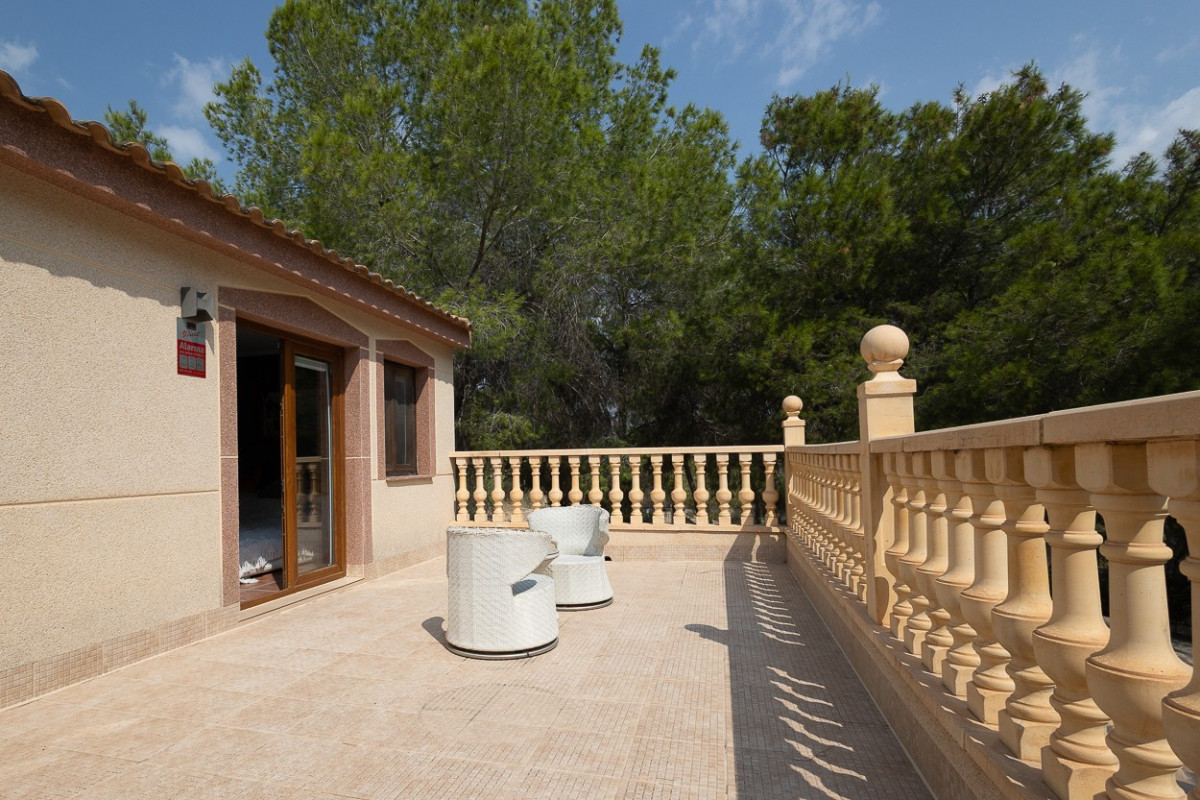 Reventa - Country Property/Finca - Torremendo