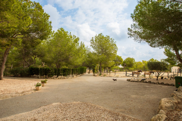 Reventa - Country Property/Finca - Torremendo