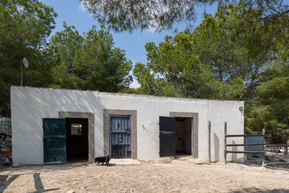 Reventa - Country Property/Finca - Torremendo