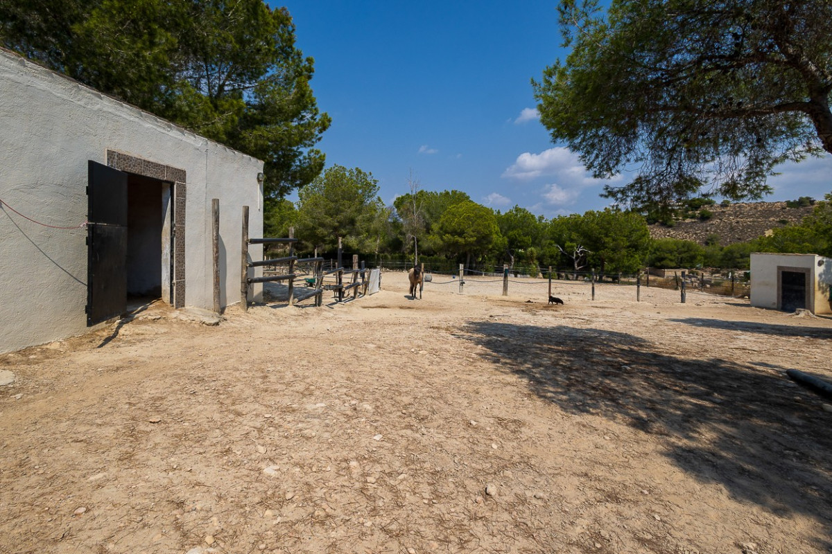 Reventa - Country Property/Finca - Torremendo