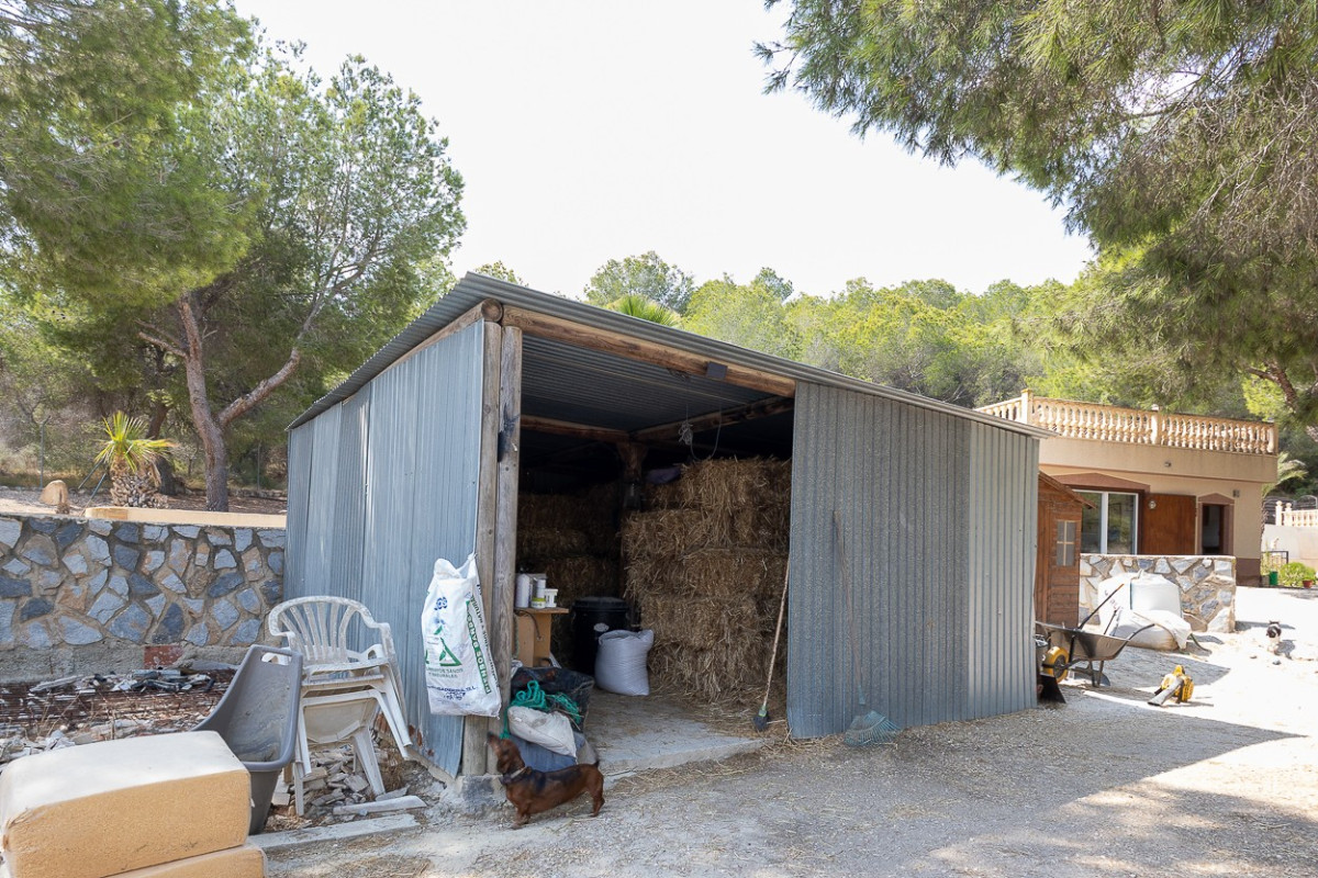 Reventa - Country Property/Finca - Torremendo