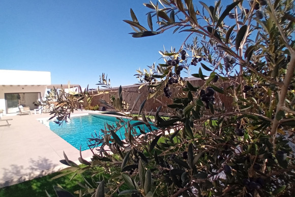 Herverkoop - Vrijstaande Villa - Algorfa - La Finca Golf Resort