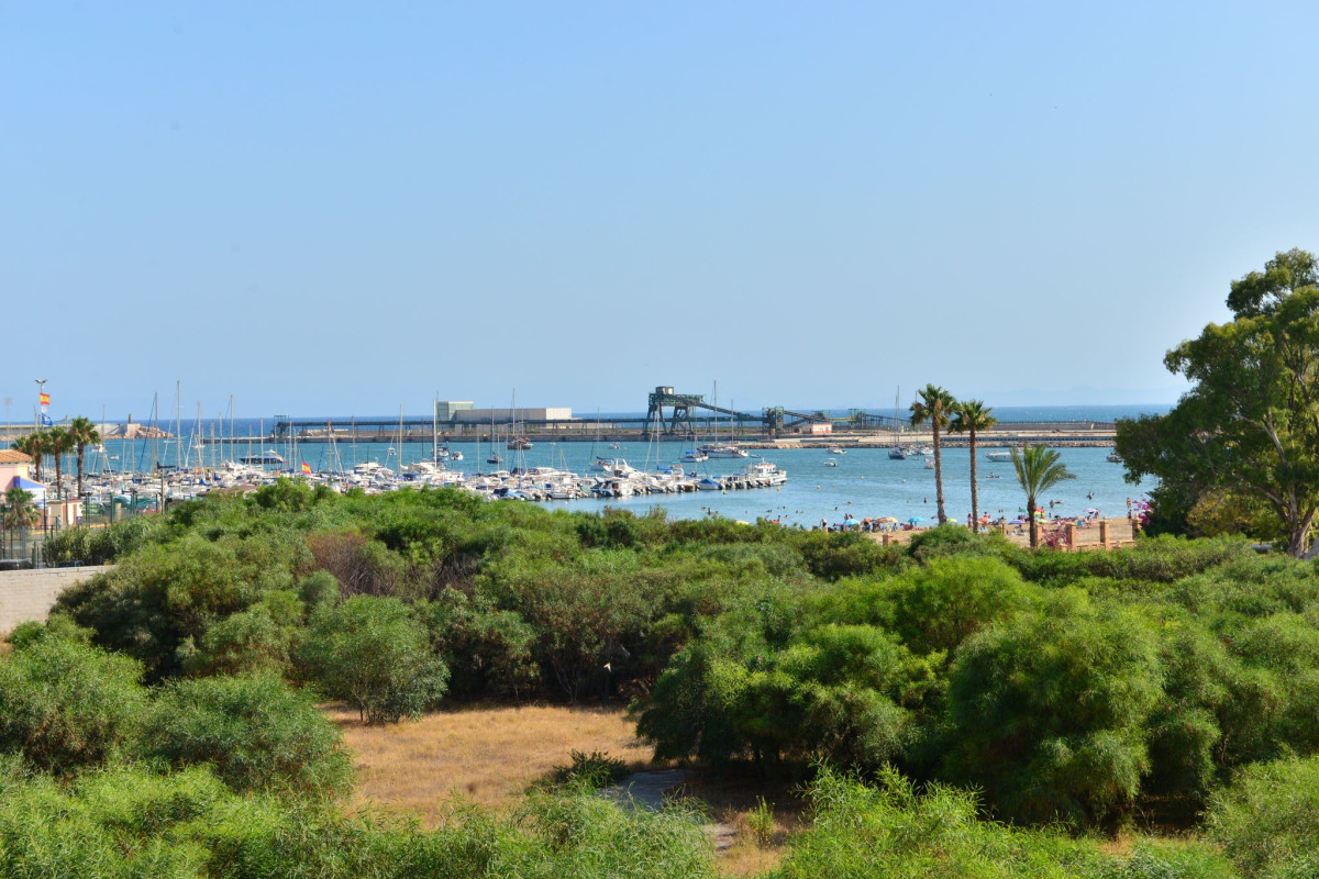 Resale - Apartment  - Torrevieja