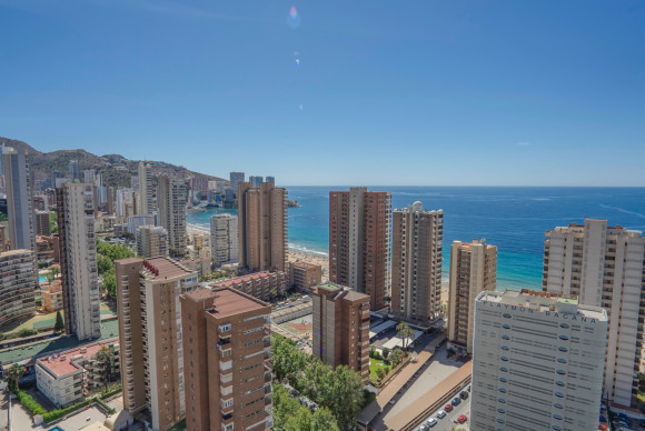 Herverkoop - Appartement  - Benidorm - Benidorm - City