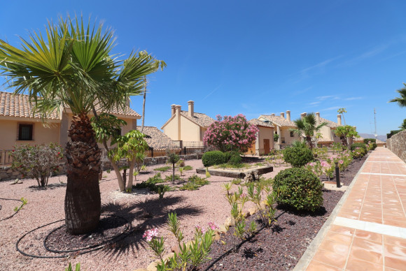 Herverkoop - Appartement - Algorfa - La Finca Golf Resort
