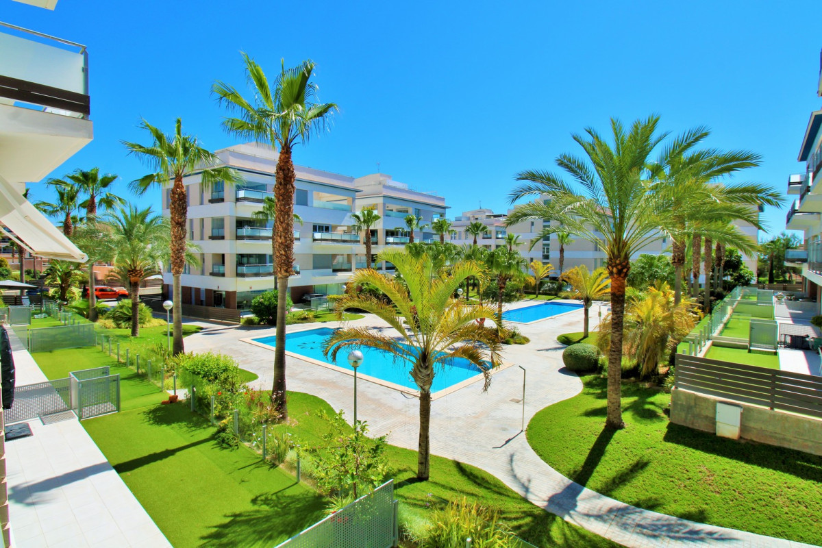 Reventa - Apartamento / piso - Villamartin - Los Dolses