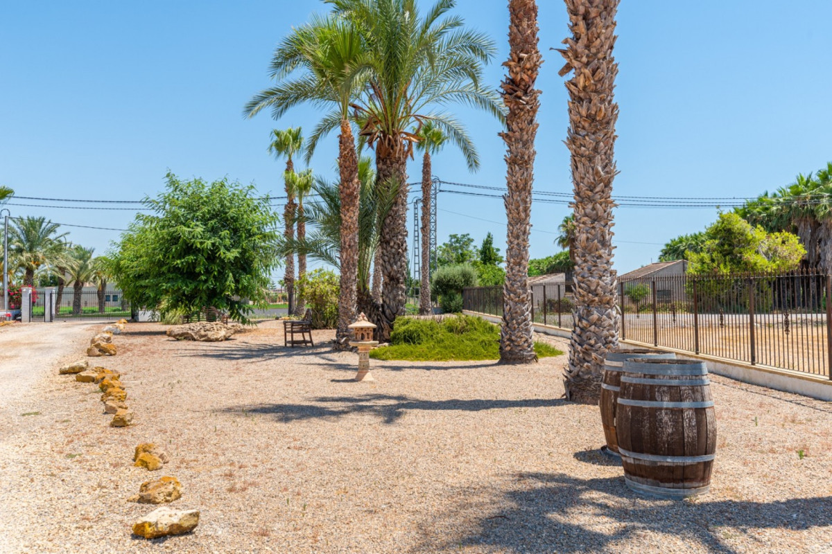 Revente - Country Property - Catral - Catral - Country