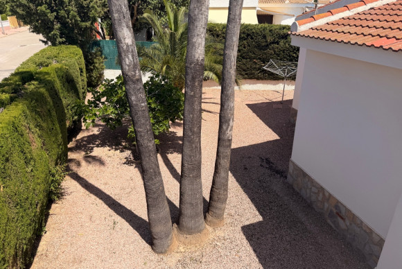Reventa - Detached Villa - Ciudad Quesada - Ciudad Quesada - Town