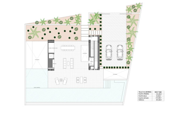 Nouvelle construction - Villa - Rojales