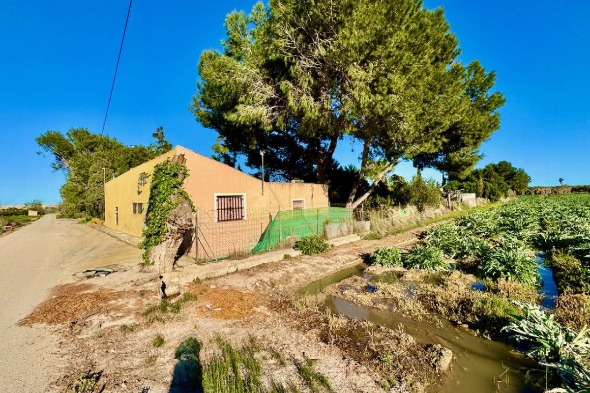 Resale - Finca / Country Property - Guardamar del Segura
