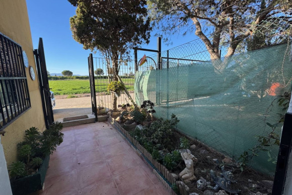 Resale - Finca / Country Property - Guardamar del Segura