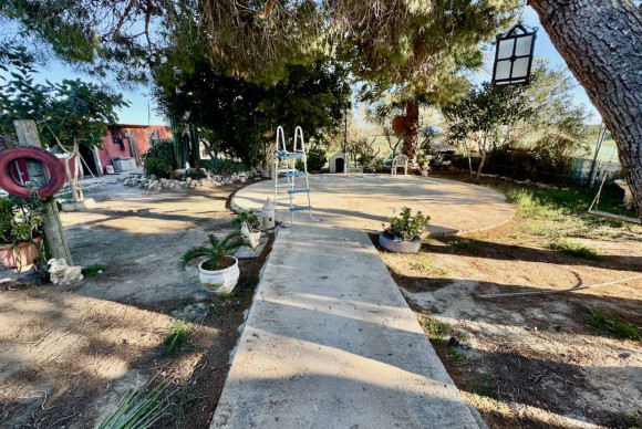 Resale - Finca / Country Property - Guardamar del Segura