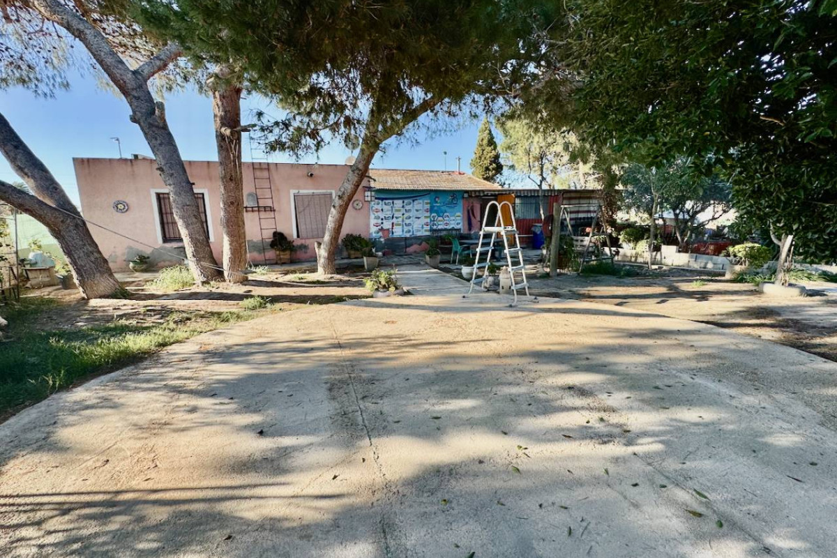 Resale - Finca / Country Property - Guardamar del Segura