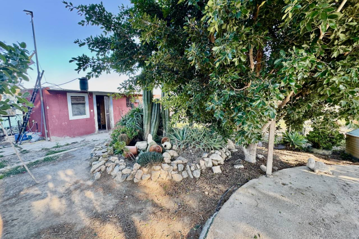 Resale - Finca / Country Property - Guardamar del Segura