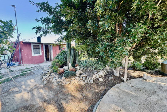 Resale - Finca / Country Property - Guardamar del Segura