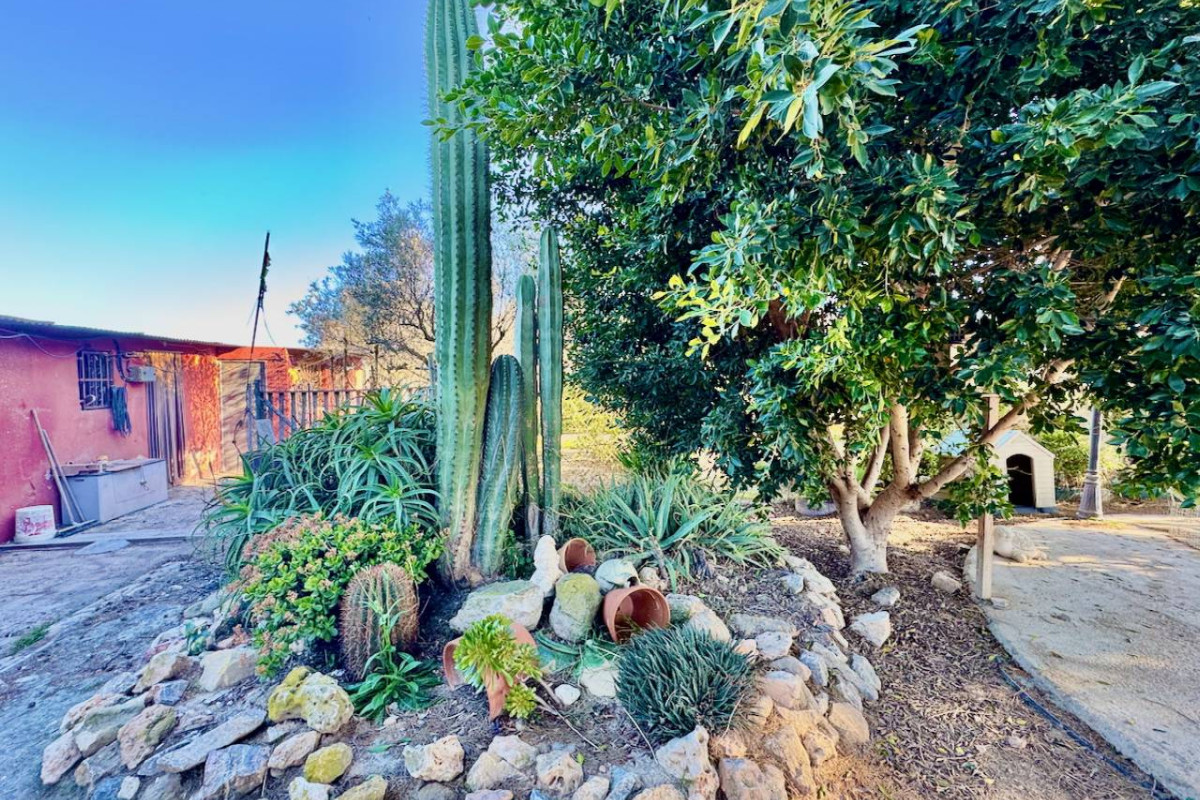 Resale - Finca / Country Property - Guardamar del Segura