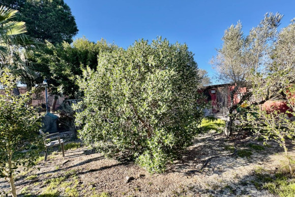 Resale - Finca / Country Property - Guardamar del Segura