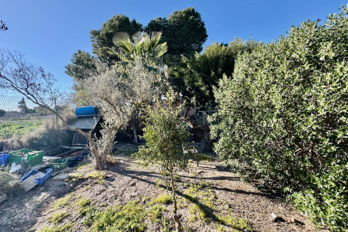 Resale - Finca / Country Property - Guardamar del Segura