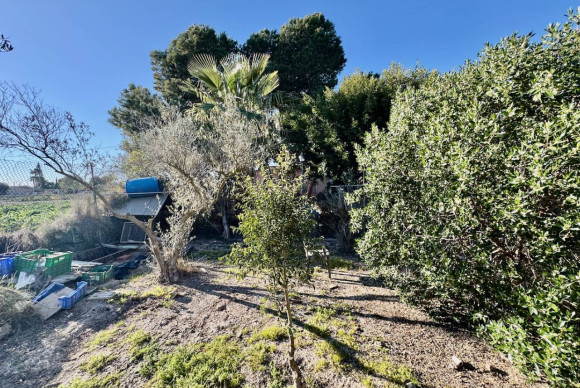 Resale - Finca / Country Property - Guardamar del Segura