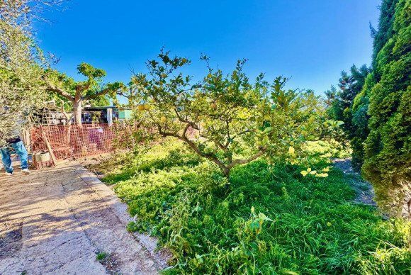 Resale - Finca / Country Property - Guardamar del Segura