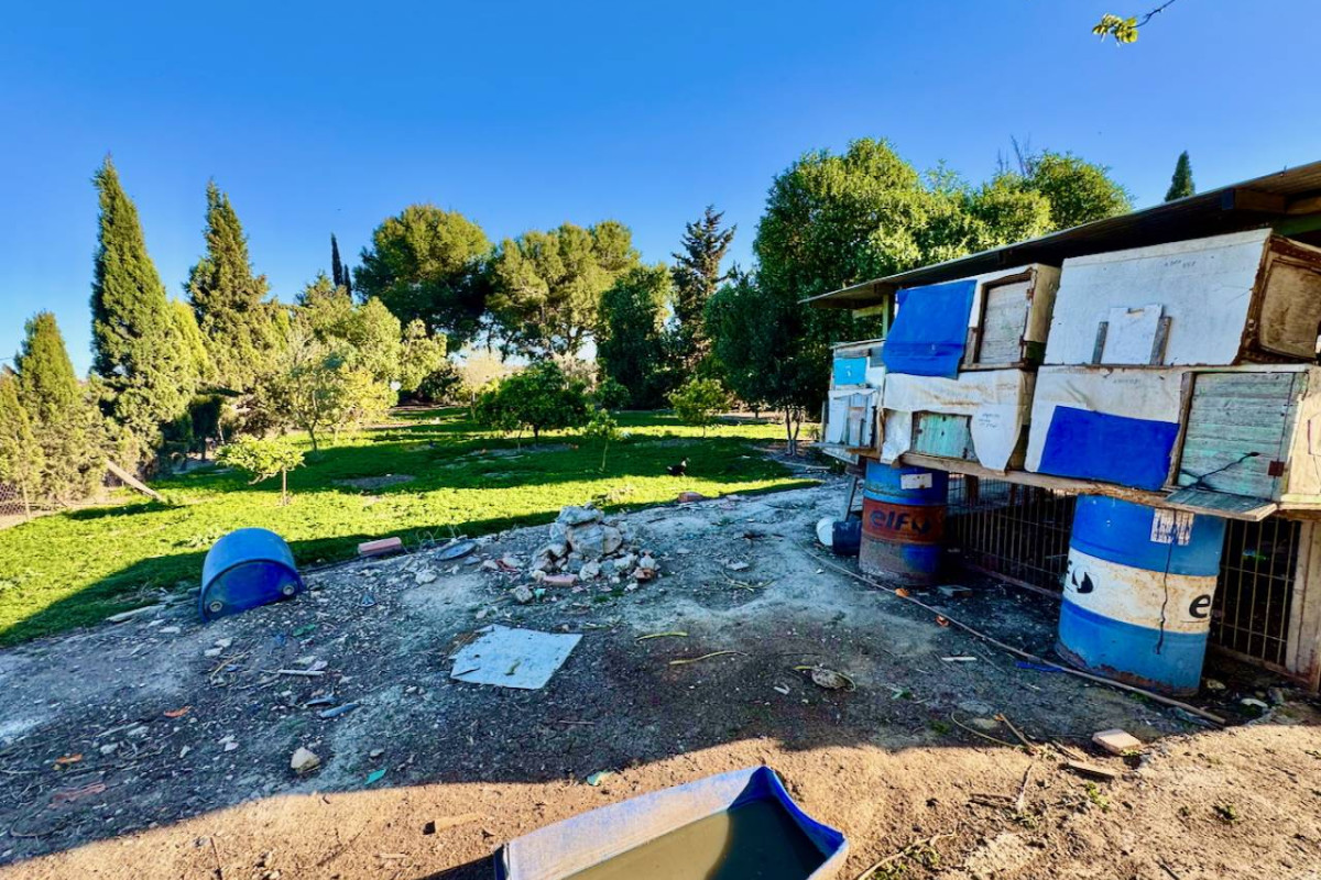 Resale - Finca / Country Property - Guardamar del Segura
