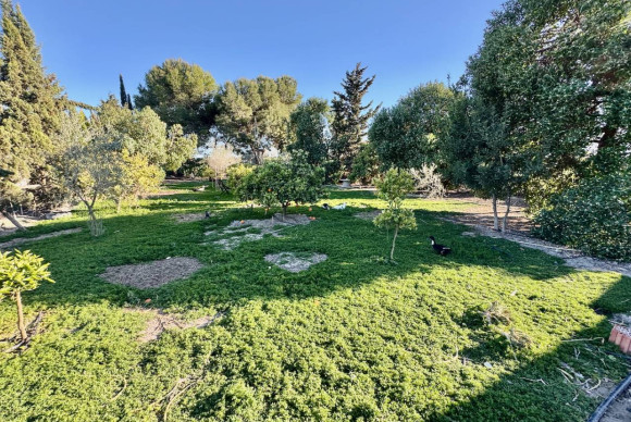 Resale - Finca / Country Property - Guardamar del Segura