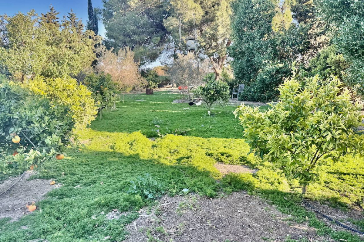 Resale - Finca / Country Property - Guardamar del Segura