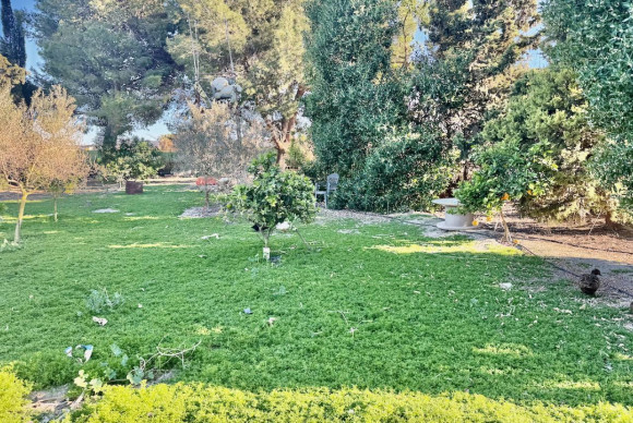 Resale - Finca / Country Property - Guardamar del Segura