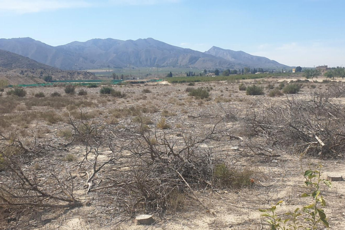 Herverkoop - Terreno - Benferri - HUERTA PUEBLO