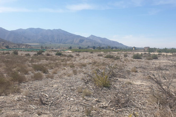 Herverkoop - Terreno - Benferri - HUERTA PUEBLO