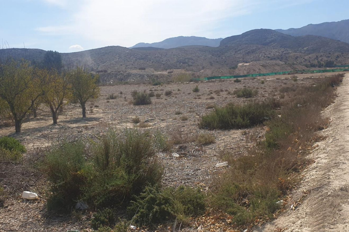 Herverkoop - Terreno - Benferri - HUERTA PUEBLO