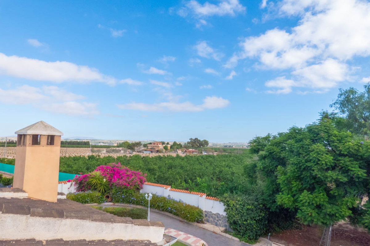 Herverkoop - Landelijke woning - San Miguel de Salinas - San Miguel - Country