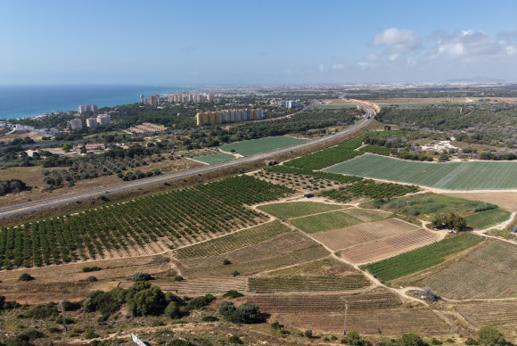 Resale - Detached Villa - Orihuela Costa - Lomas de Cabo Roig