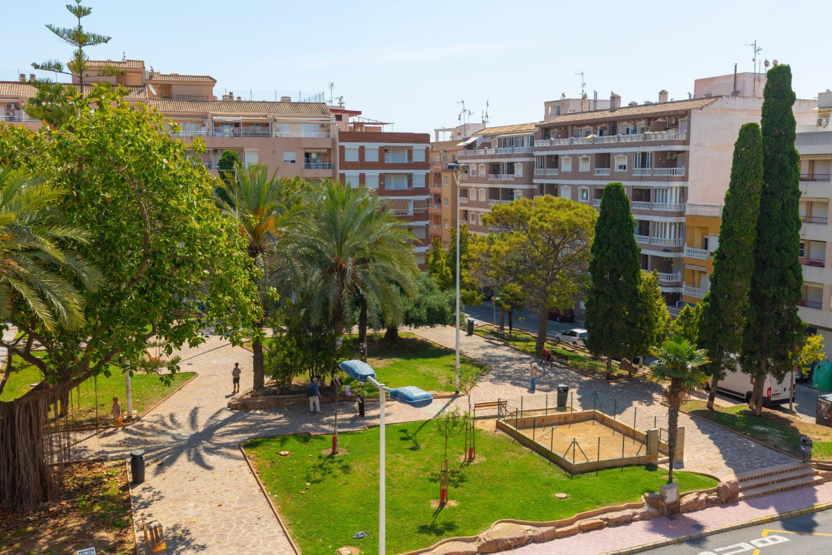 Revente - Flat - Torrevieja - Playa del cura