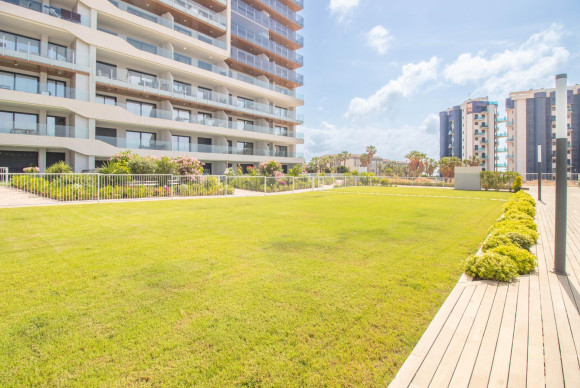 Resale - Apartment  - Torrevieja - Punta prima