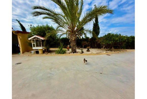 Herverkoop - Landelijke Woning-Finca - San Fulgencio - La Marina