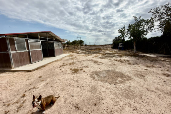 Herverkoop - Landelijke Woning-Finca - San Fulgencio - La Marina