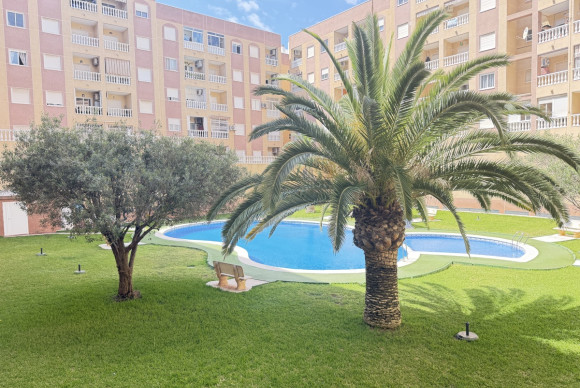 Revente - Appartement - Torrevieja - Torrevieja - Centre