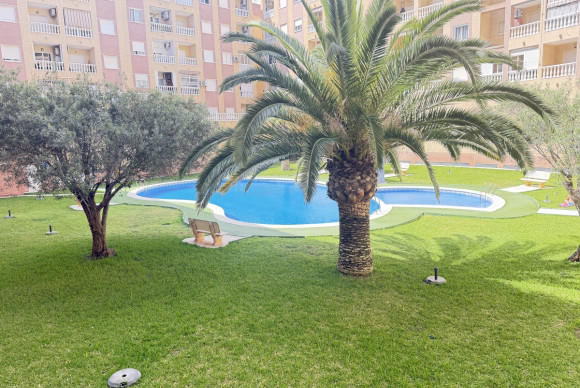 Revente - Appartement - Torrevieja - Torrevieja - Centre
