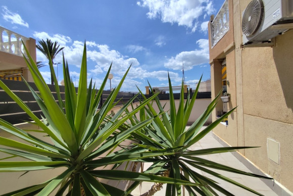 Resale - Garden Apartment - Torrevieja