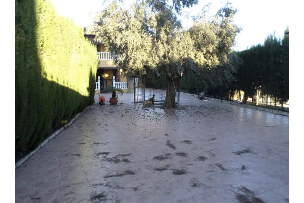 Resale - House - Orihuela Costa - CAMPO