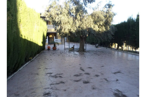 Resale - House - Orihuela Costa - CAMPO